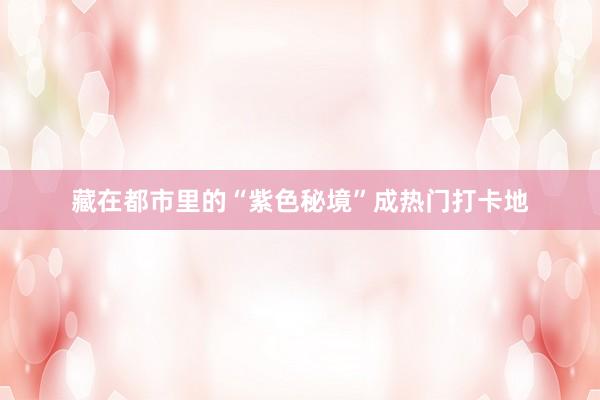 藏在都市里的“紫色秘境”成热门打卡地